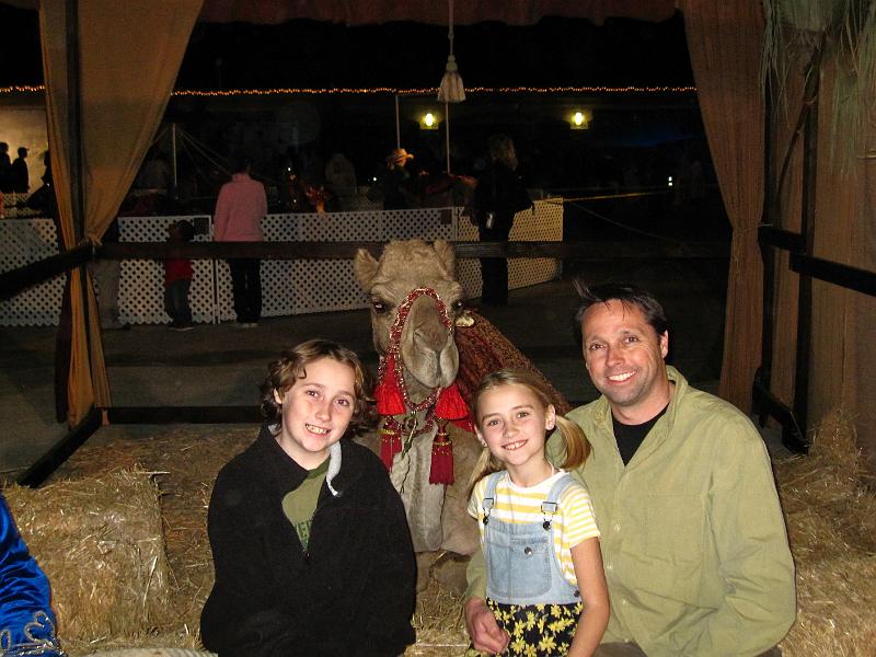 @IMG_7309.JPG - With a Christmas Camel (actually a dromedary - it only has one hump)