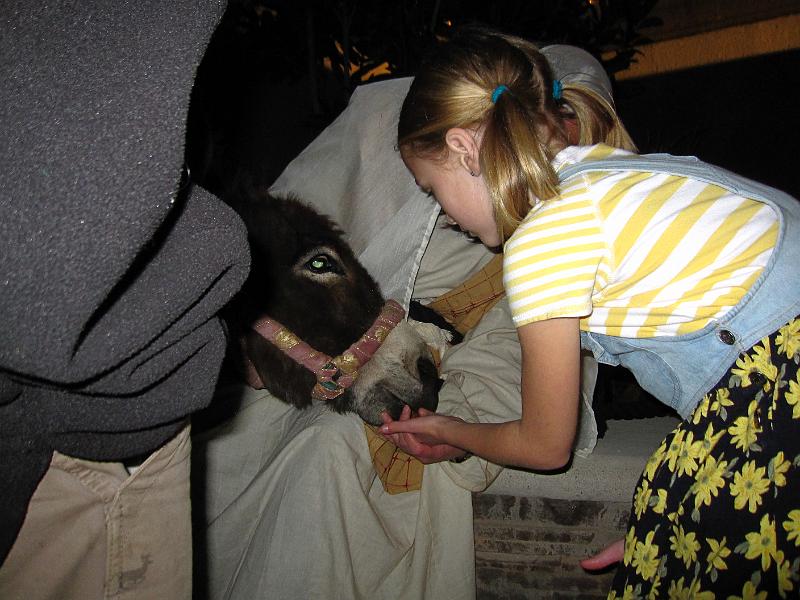 @IMG_7313.JPG - The donkey is Ginger