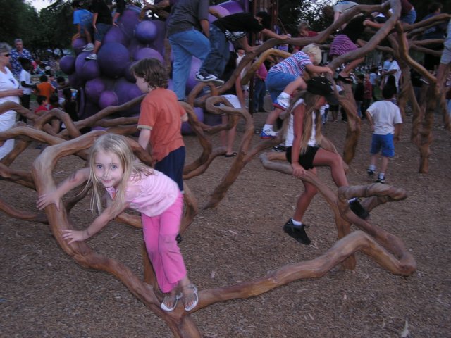 agreatgrapevineplaygroundattheparkinescondidowewerethereforjuly4fireworks.jpg