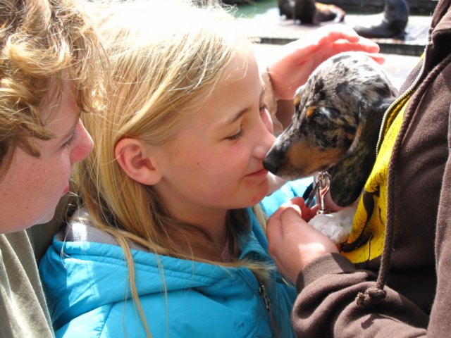 alwayswillingtokissthedogs.jpg