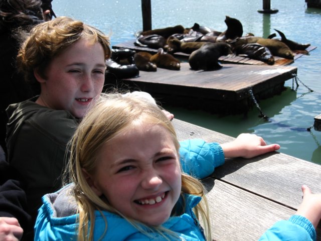 moresealions.jpg